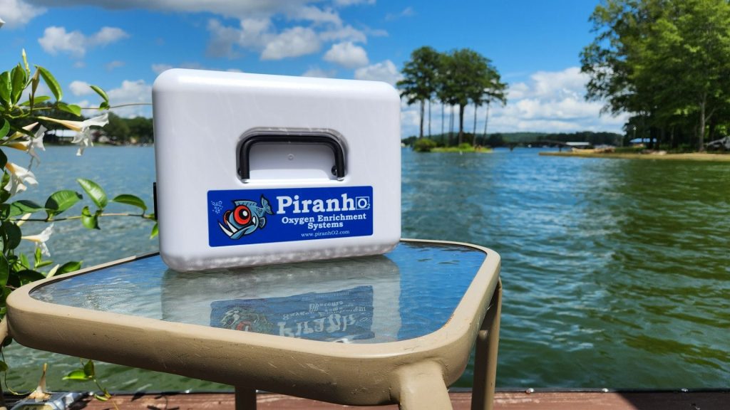 The Piranho is a great option to keep bait and fish fresh.