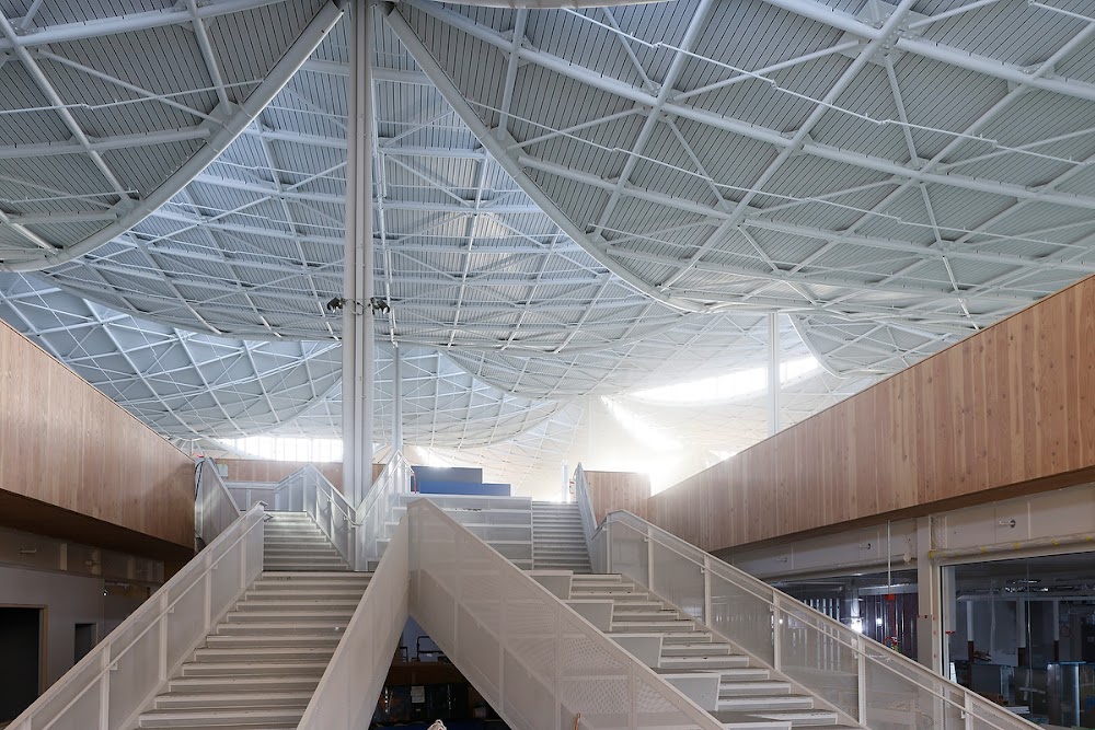 Interior view of the canopies in the ceiling at Gradient Canopy