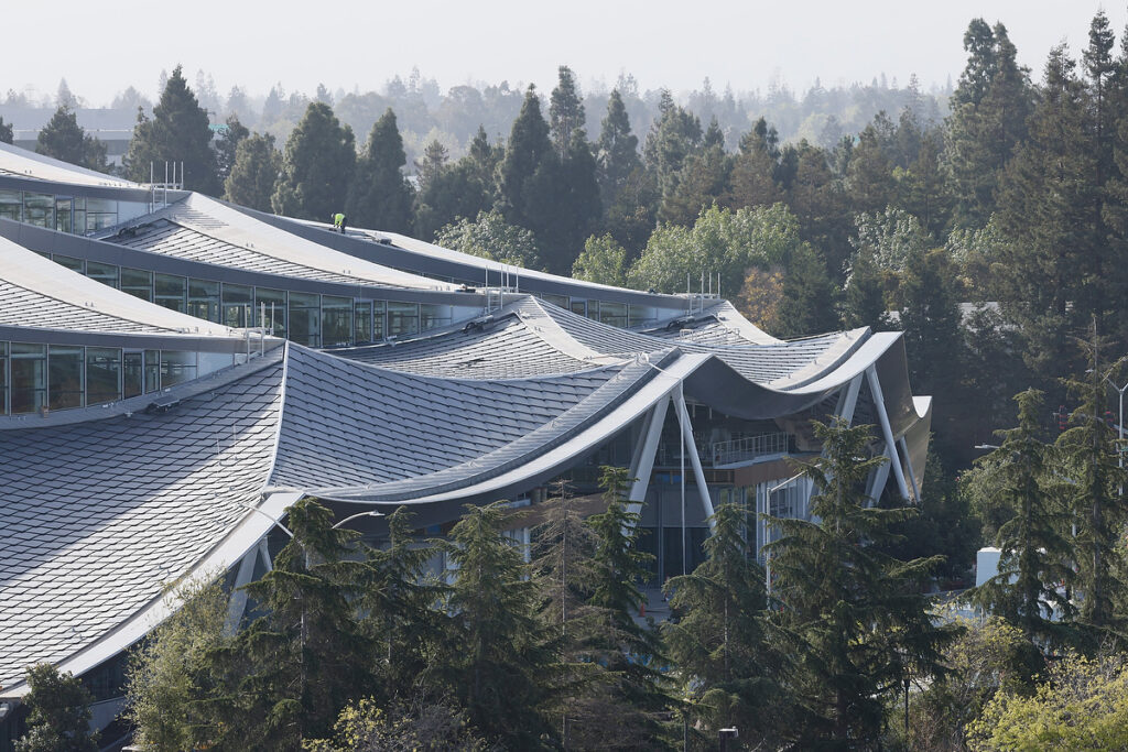 Google Canopy Building