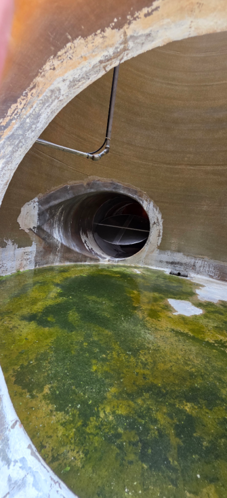 ozone removing odor