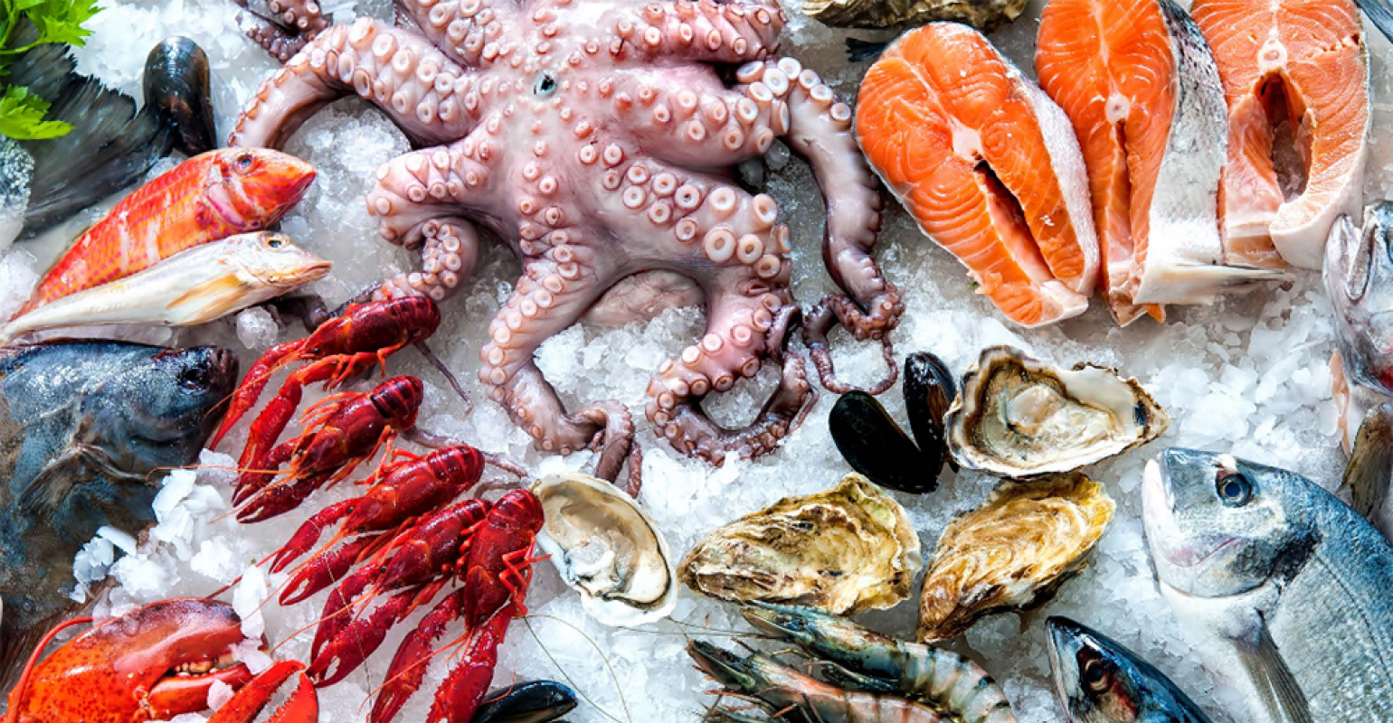 Ozone in Seafood Processing