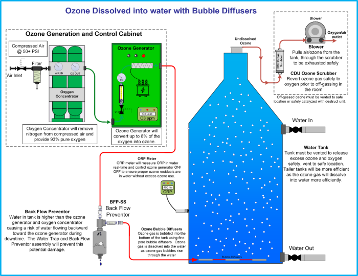 Ozone bubble diffuser tank with BFP-SS back flow preventer