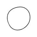 WP-Large O-Ring