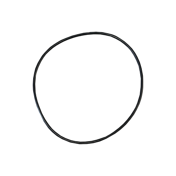 WP-Large O-Ring