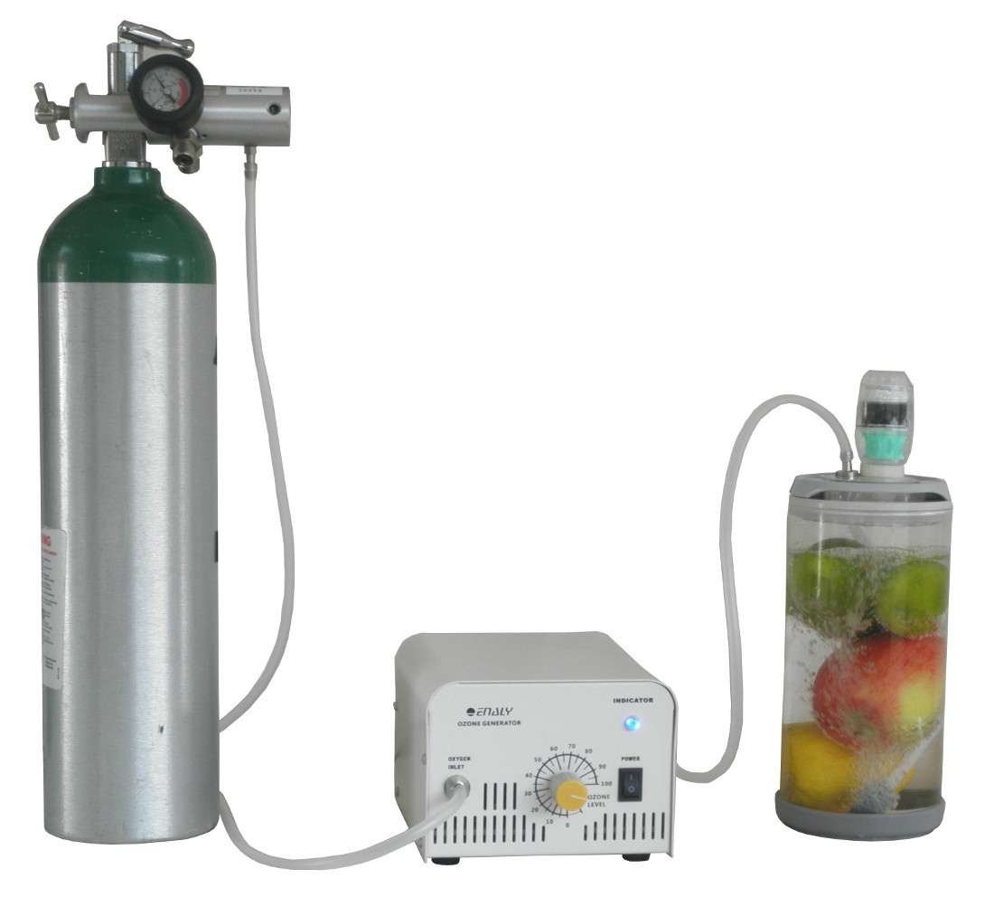 Ozonate Fruit and Vegetables for safety