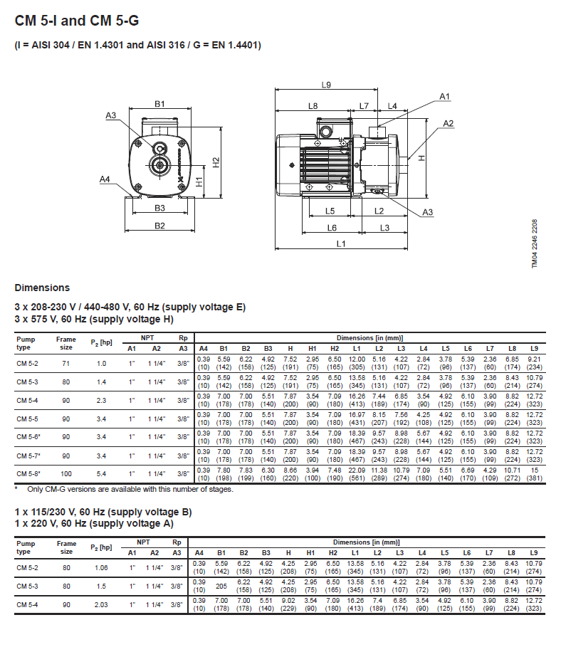 Ozone injection pump for water system