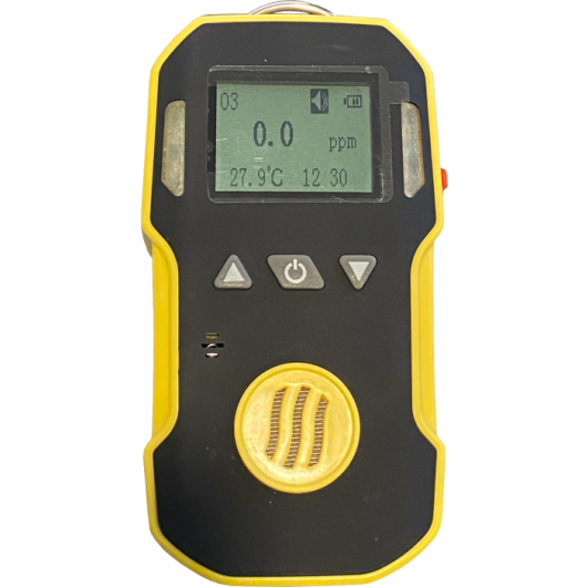 BH-90A Portable Gas Detector