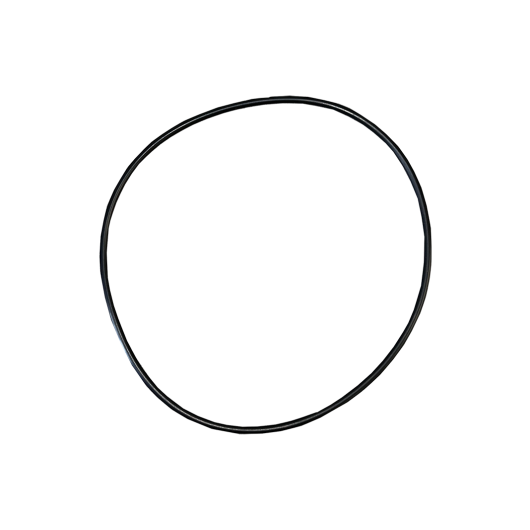 WP-Large O-Ring