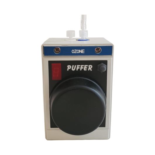 Ozone Puffer Test Gas Generator
