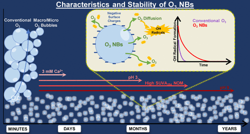 Characteristics and Stability of Ozone Nanobubbles in Freshwater Conditions