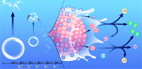 Ozone nanobubble behavior and interface reaction