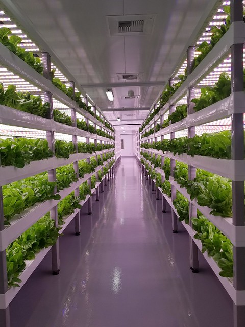 Ozone vertical farming application examples