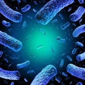 Listeria inactivation with ozone