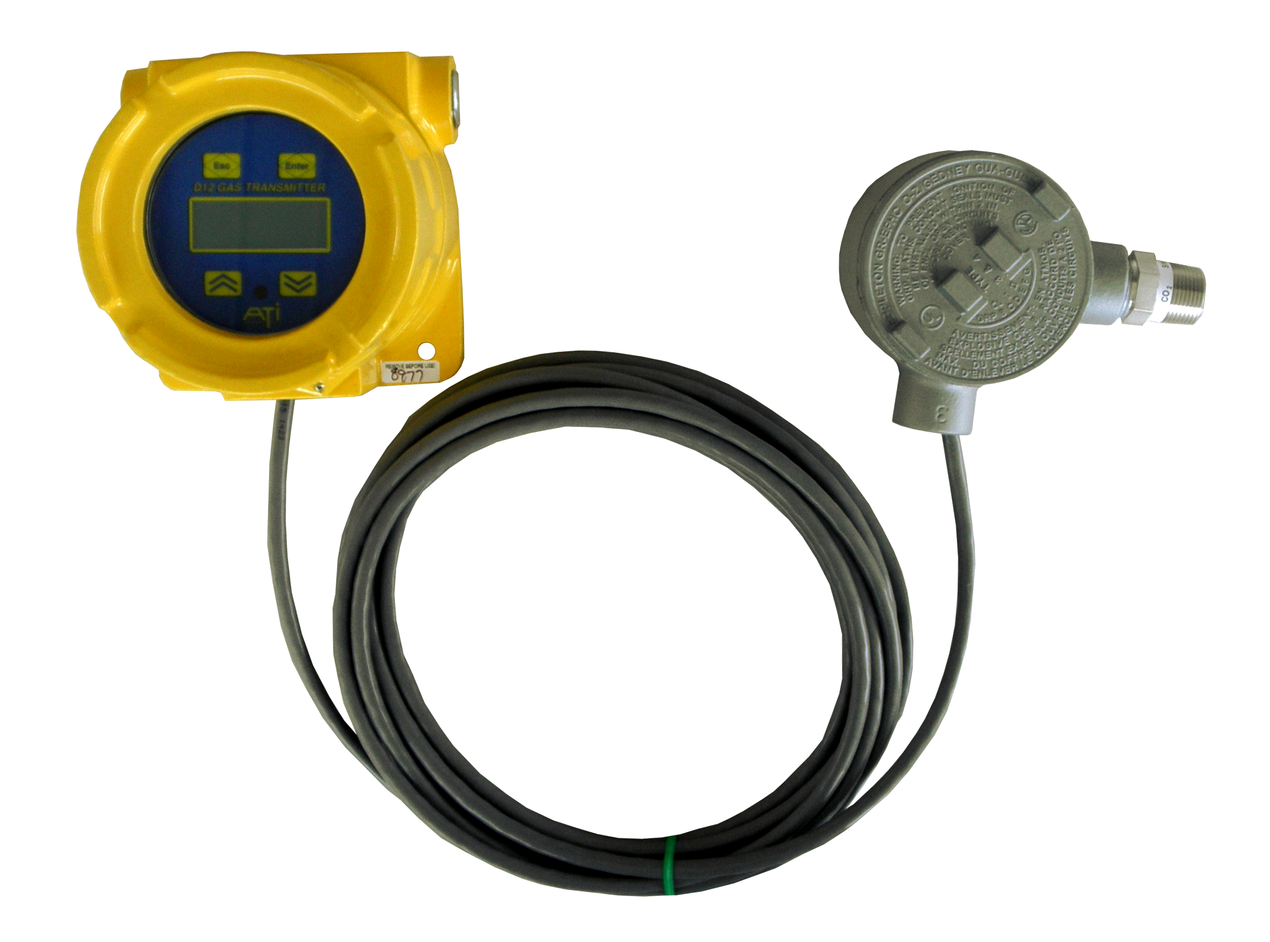 D12 Toxic Gas Transmitter with remote sensor