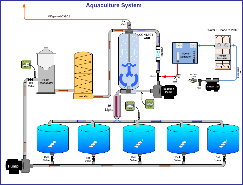 Ozone use in aquculture