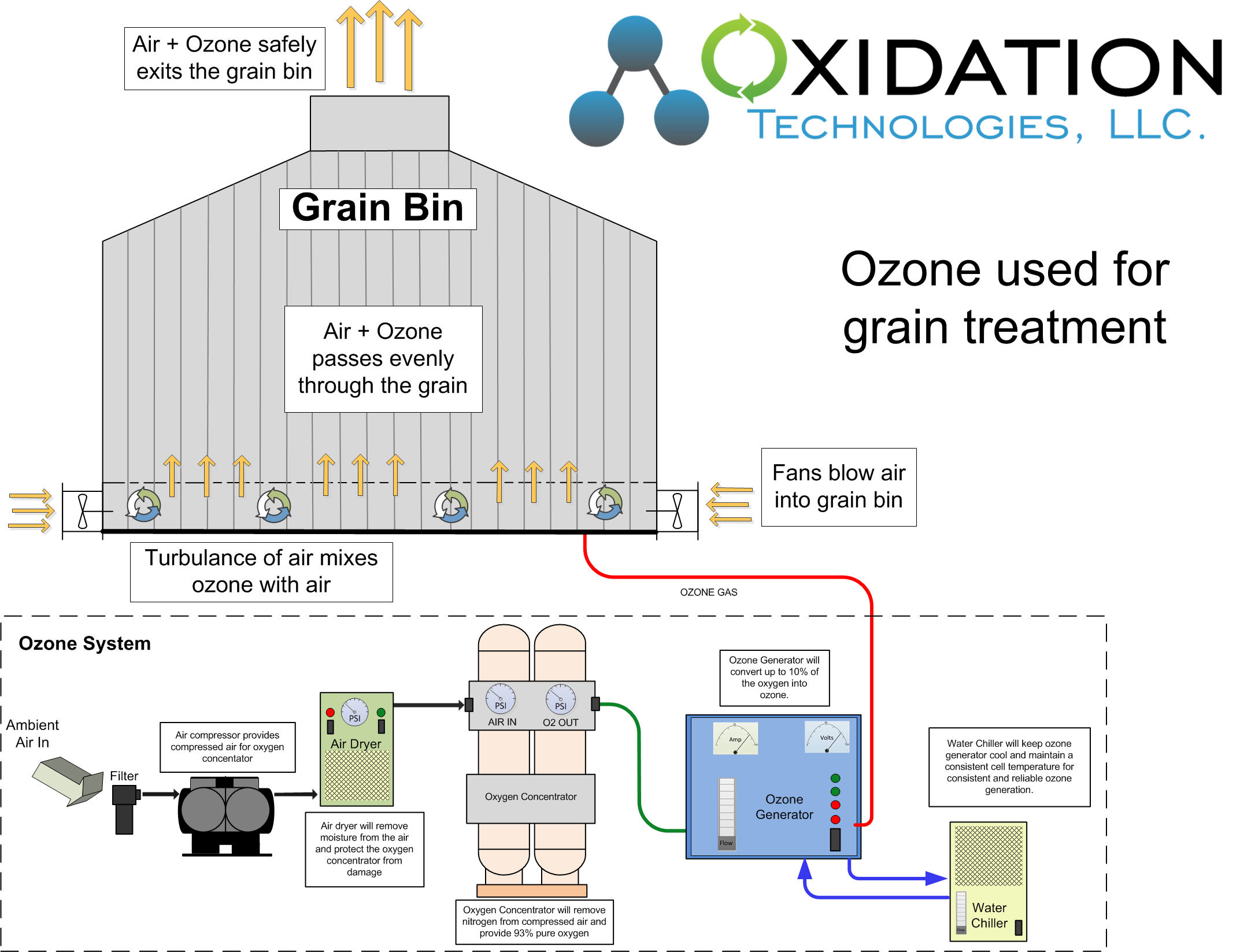 Ozone for micotoxin reduction in grain