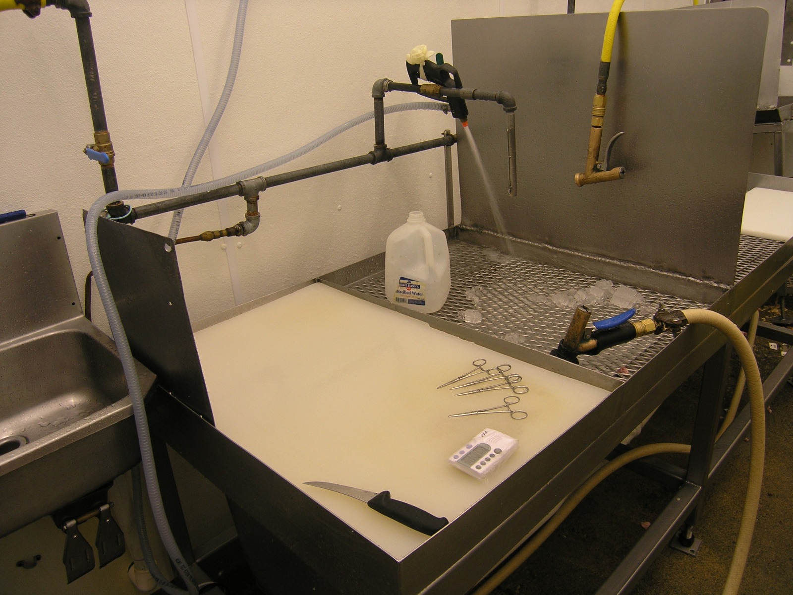 Ozone Inactivation of E.Coli at Various O3 Concentrations and Times