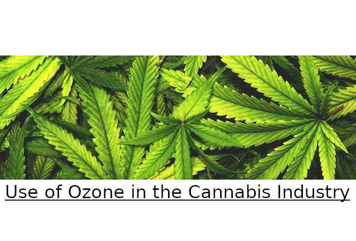 ozone for cannibis cultfication