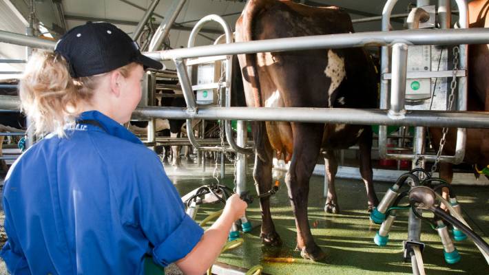 Dairy farm ozone applications